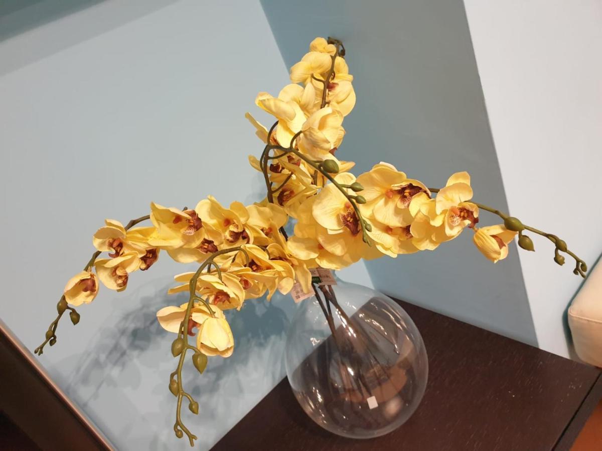 Juliette Rooms Iesi Dış mekan fotoğraf
