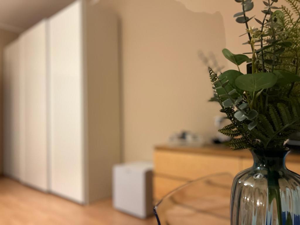 Juliette Rooms Iesi Dış mekan fotoğraf